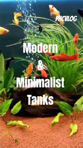 Modern & Minimalist FishTanks #shorts