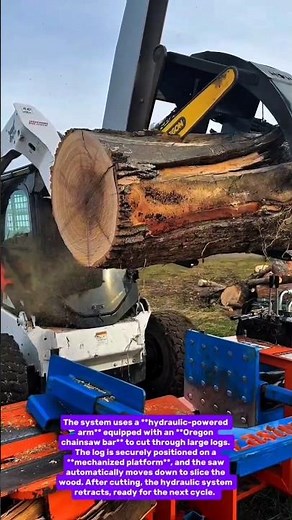 Powerful Automatic Wood Cutting Machine | High Efficiency Log Processor Demonstration
