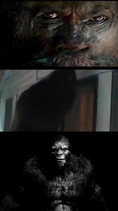 He must be smelling the blueberry muffins and salmon cakes.😁 If this was all that separated you from a Bigfoot, what would you do? Just let him in? You know what they say. He might be cold. Just let him in. #boisebigfoot #bigfoot #sasquatch #yeti #cryptozoology #cryptid #creature #unknown #cryptidclan | Boise Bigfoot