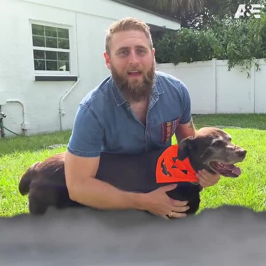 Murky pools and abandoned homes? Sounds like the perfect job for Justin Stamper and his team of Zombie House Flipping experts! Join us for all-new episodes every Saturday at 11am ET/PT, only on A&E. | A&E