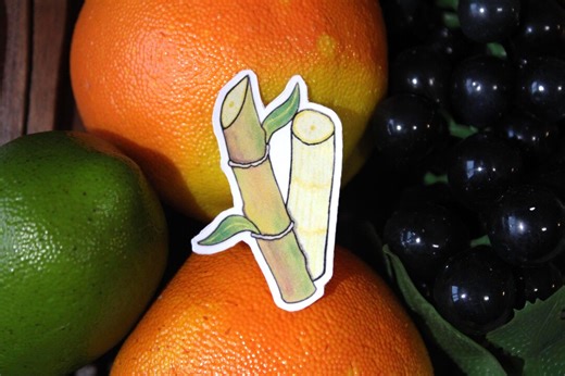 Sugar Cane Fruit Stickers | Hand-drawn Laptop Decal, Sticker for Phone, Planner, Journaling - Etsy