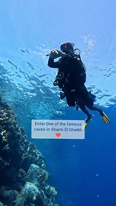 ⚡️ A narrow crack 🔦 A shift in light 😍 And suddenly, you’re inside one of Ras Mohammed’s quiet secrets. 🌄 The small cave at Jackfish Alley isn’t loud but it leaves an impression. 📣 Book your warm winter dives now and explore the Red Sea’s hidden corners: 📩 DM: @camel_dive_club ✉️ info@cameldive.com 🌐 www.cameldive.com #CamelDiveClub #JackfishAlley #RedSeaMagic #WinterDiving #DiveWithCamel | Camel Dive Club & Boutique Hotel