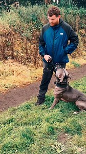 Unleashed classes are designed to desensitise your dog to their individual triggers. We teach people how to handle and dogs how to cope. All training starts with an initial assessment. To find out more, visit: www.unleashedk9services.com #dog #trainyourdog | Unleashed - Danny Wells Dog Training