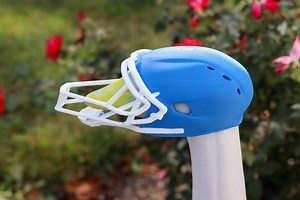 3D Printed Goose Football Helmet, Desk & Porch Decor, Eco-friendly - Etsy