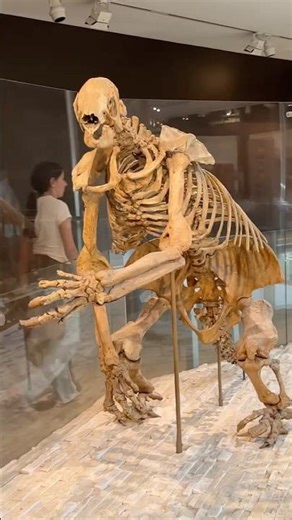 Walk Among Dinosaurs 🦖 | Natural History Museum Los Angeles #Dinosaurs #NaturalHistory #MuseumVisit