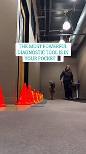 4.4K views · 139 reactions | Most of us use our phones to film our...