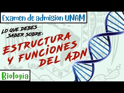 Estructura y funciones del ADN || Biología UNAM