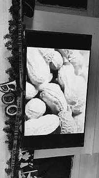 Sesame Street - Film factory "Peanut Butter" written by Joe Raposo (1978)