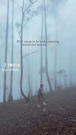 Discover the Magic of Sri Lanka ! The Pekoe Trail is a 300 km walking path that takes you through the beautiful Central Highlands of Sri Lanka, a hidden gem in Asia. Most people know Sri Lanka for its amazing beaches, green landscapes, and the chance to see elephants and leopards in the wild. But there’s so much more to explore! If Sri Lanka isn’t on your travel bucket list yet, it should be. Let us show you why it’s one of the most special places in Asia. Message @iamsrilanka to start planning 