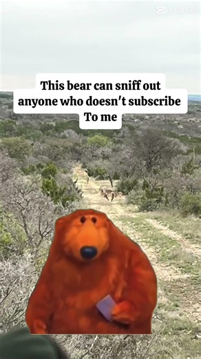 This bear can sniff out anyone who doesn’t subscribe to me.