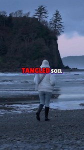 For four years, Emma Lane's disappearance haunted her family. The forest held its silence. But after a storm, an uprooted tree exposed a terrible truth: Emma hadn't wandered off. She had been silenced. And the forest finally spoke. #TrueCrime #MissingPerson #SolvedCase #OlympicNationalPark #Justice | Keys DAN