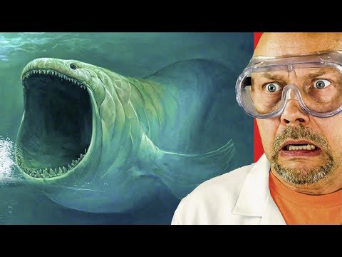Most dangerous sea creatures