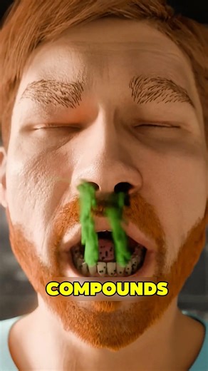 What Really Causes Bad Breath? It’s Not What You Think 😳