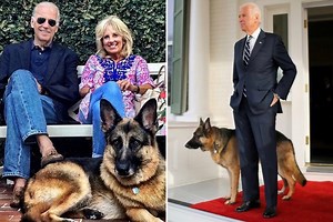 Biden pays tribute to beloved dog Champ following death aged 13