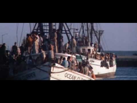 Scarface Theme Intro Movie.avi