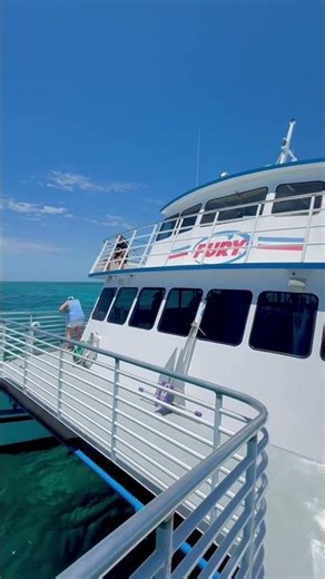 A dreamy ride aboard Fury’s Glass Bottom Boat 🐠