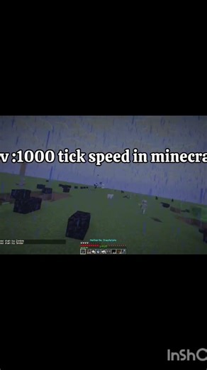 1000 tick speed in minecraft 👌