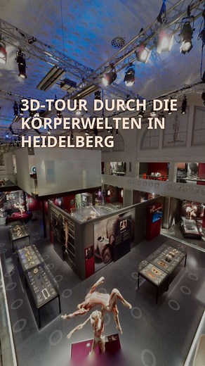 6.6K views · 44 reactions | Hast du dich schon mal gefragt, wie es in...