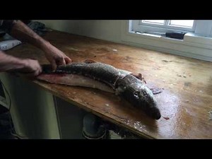 Préparation du brochet sans arrêtes par yannick bergeron