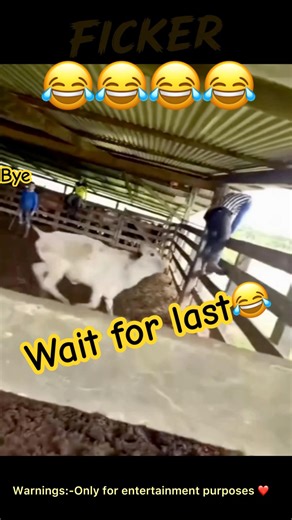 Crazy fails😂 (Clips-100)#funnyfails #meme #short