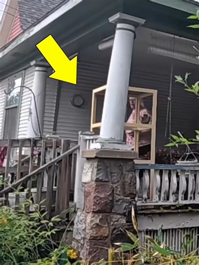 Elderly Man Helped, Neighbor's Angry Reaction