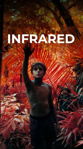 For Netflix’s Lord of the Flies, cinematographer Mark Wolf pioneered a new technique to film day for night scenes using a full spectrum camera and our Kolari IRChrome filter! Go to the link in our bio to see how you can recreate this look for yourself! - - - - - - #netflix #cinematography #filmmaking #filmmakers #movies