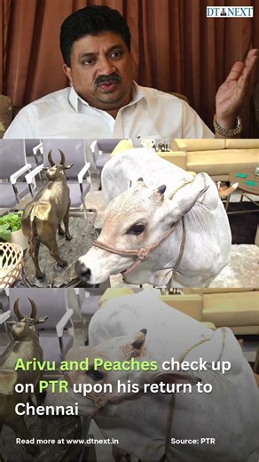 Arivu and Peaches check up on PTR upon his return to Chennai