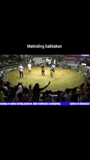 Part 6 | Hgg Gamefarm