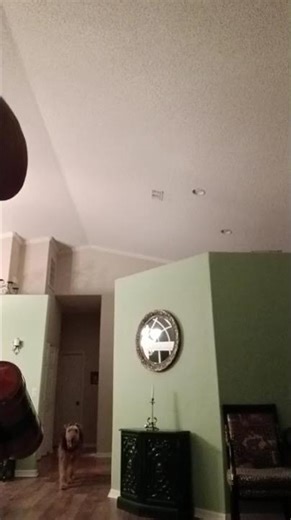 I made a pelica of Megamind's Dehydration gun! #viral #megamind #shortsviral #shorts #shortvideo