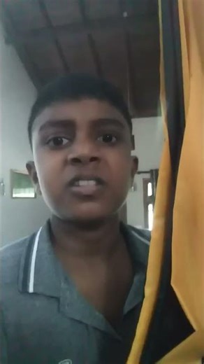 #minecraft story mod wither storm