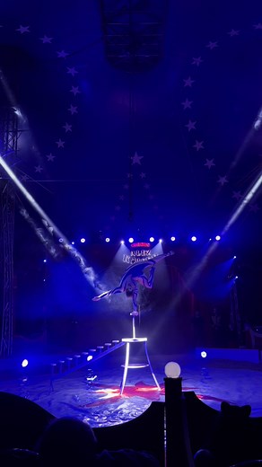 @Circus Alex Kaiser offiziell 🤸‍♀️🎪