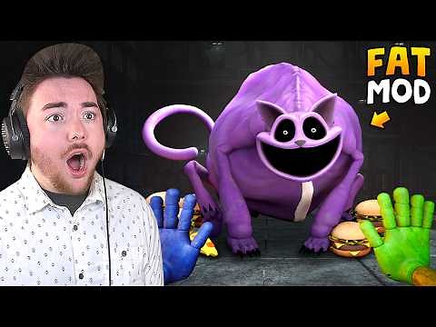 CATNAP FAT MOD!!! | Poppy Playtime Chapter 3 Gameplay (Mods)