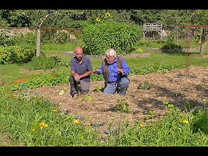 NATURAL TECHNIQUES FOR A PERMACULTURE VEGETABLE GARDEN