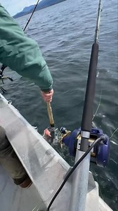 Preseason blackcod scouting. #butterfish#sablefish | Alaskan Fishing and so much more in Ketchikan