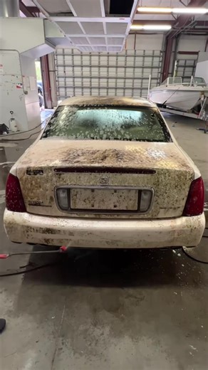 Essential Tips for Effective Car Washing and Detailing