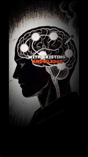 How REM Sleep changes your Brain #sleep #memory #neuroplasticity #neuroscience #neuroscience #brain