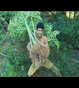 Find (SMUV) are food | Quant-Amber TH