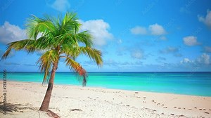 Beautiful coconut tree on a Thai beach in front of the turquoise ocean. Deserted island with palm tree on the beach. Hot summer concept. A paradise for travel and relaxation.
