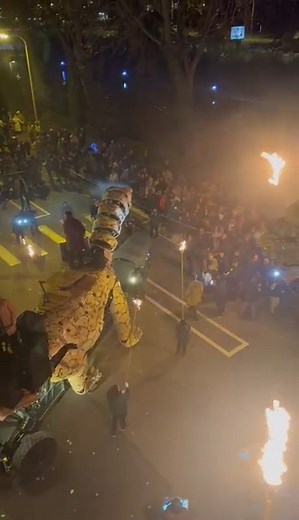 201K views · 1.9K reactions | Les trois bêtes se sont réveillées et s'apprêtent à commencer leur spectacle du soir  Ne ratez rien en suivant notre direct  https://nordlitt.fr/playlisyvideovaran  Beaucoup plus de vidéos et de photos sur nordlittoral.fr Vidéo : Aurélie Duquenoy @RelieTV | Nord Littoral | Facebook