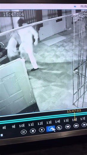 Surprise Escape in a Hospital! Will You Make It Out