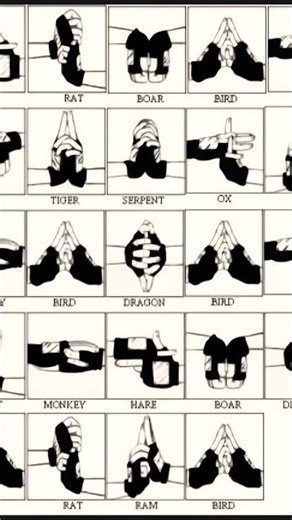 every ninja hand signs