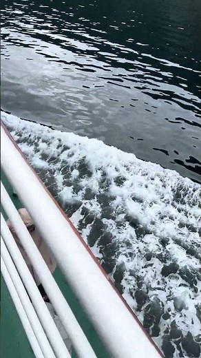 Boat Tour in Geiranger 🇳🇴🚤 Norway Fjord Magic ✨