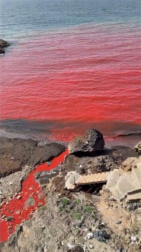Red Substance Flows Into Mediterranean Sea in Algeria