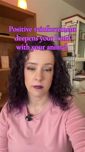 Positive reinforcement training brings so much value to your relationship with your animal, so far beyond just the command being taught. Trust is an invaluable and priceless asset that can only be earned when we listen to our dogs and really understand their experience. Positive reinforcement allows for them to have some agency and emotion while building trust and confidence in their respective handlers. Instead of an imbalanced, push and pull relationship, it becomes a symbiotic companionship t