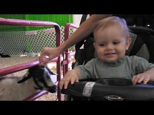 The Allen Family Story