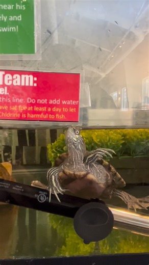 Annmarie Sculpture Garden & Arts Center on Instagram: "Start your Valentine’s weekend with us! Just over an hour outside DC, Annmarie Sculpture Garden & Arts Center features two galleries with rotating exhibits - see the MLK exhibit before it leaves on Feb. 22! Be sure to stop by the Nature Nook, do some crafting in the artLAB… and don’t forget the Gift Shop, featuring unique selections, many handmade by regional artists. Annmarie truly is a hidden gem, operating on a pay-what-you-can admission 