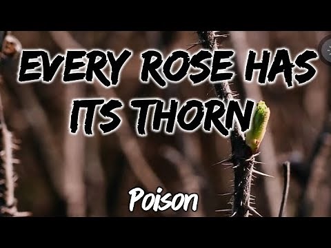 Every Rose Has Its Thorn - Poison (Lyrics)