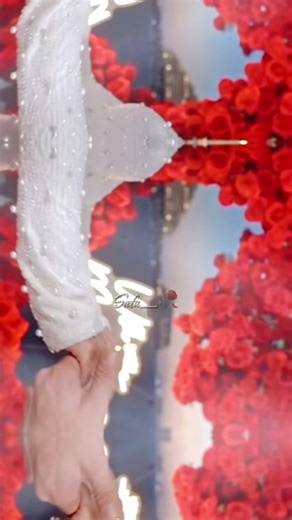 #explore #تامر_سليمان #fidaalbzb #tamer #فيدال_التونسية @Fidaal ben zareb @Tamer Suleiman تامر سليمان