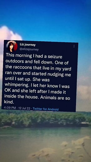 #greenscreensticker #greenscreensticker #lpy888 #tiktok #life#sad#foryou#foryoupage #lifehub#❤️😍#meme#work