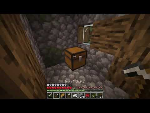 SURVIE MINECRAAAAAAFT